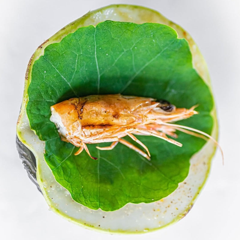 Brae's Prawn Head & Kohlrabi Taco