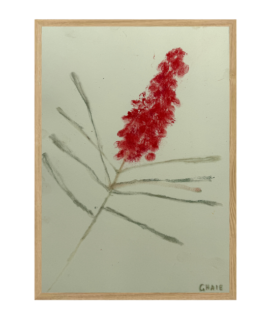 Still Life - Charlotte Ghaie #1