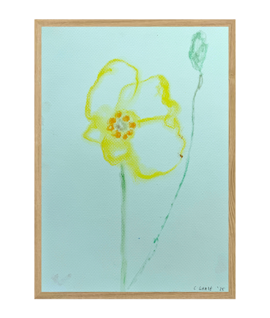 Still Life - Charlotte Ghaie #2