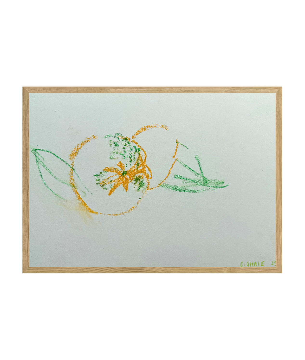 Still Life - Charlotte Ghaie #6