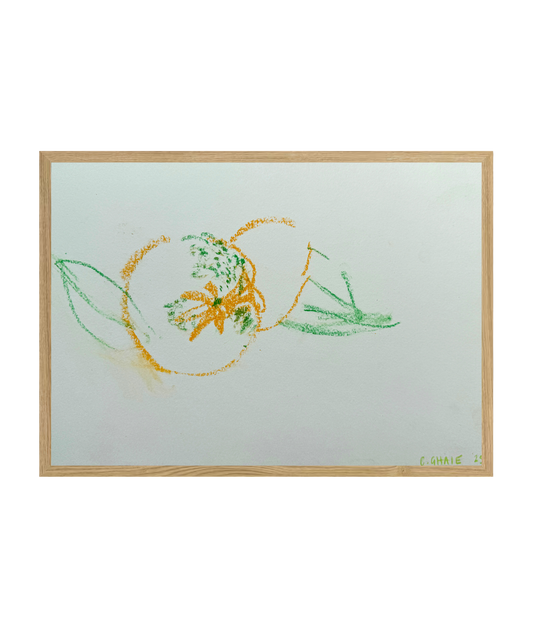 Still Life - Charlotte Ghaie #6